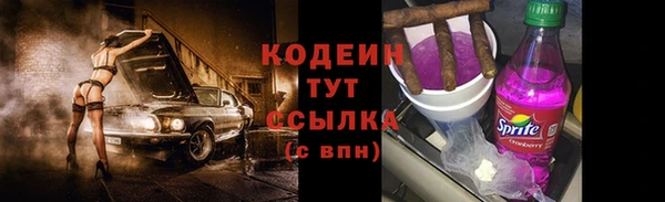 дмт Дмитровск