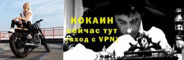дмт Дмитровск