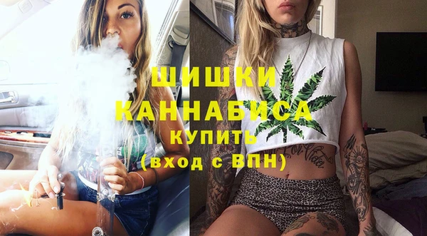 амф Дмитров