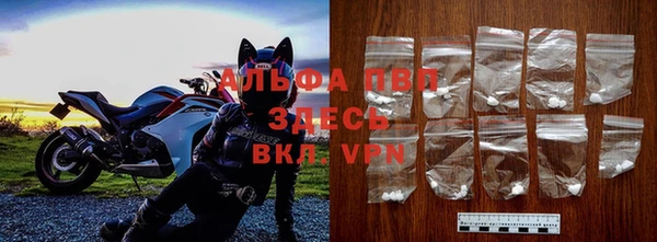 дмт Дмитровск
