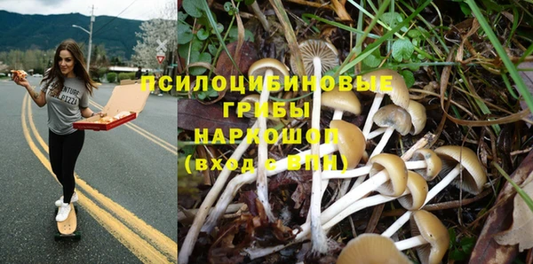 дмт Дмитровск