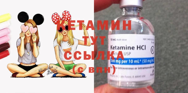дмт Дмитровск